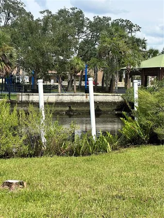 a view of a garden with large trees