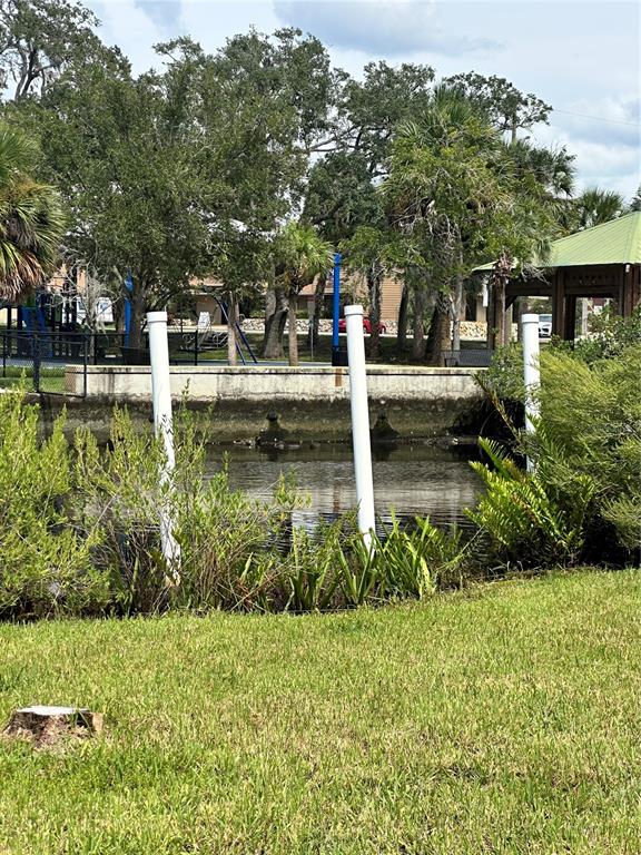5649 Tidalwave Drive New Port Richey, FL 34652 - Photo 6 of 7 a view of a garden with large trees