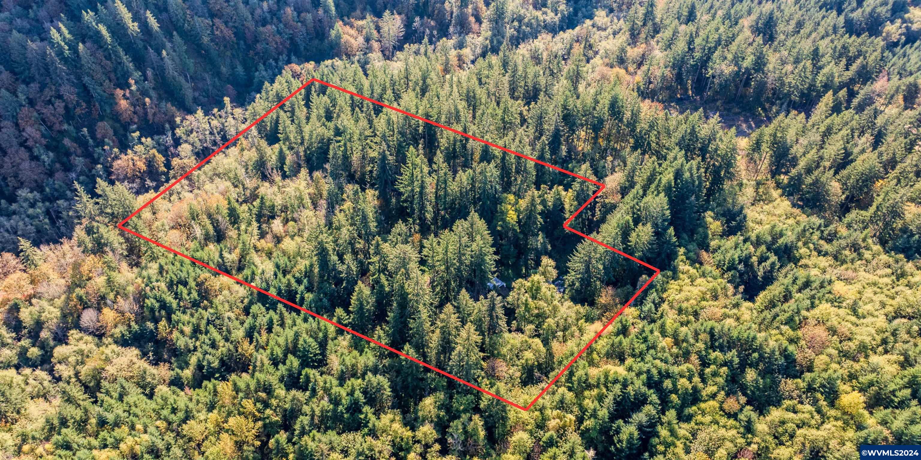 0 Abiqua Road Scotts Mills, OR 97375 - Photo 1 of 12