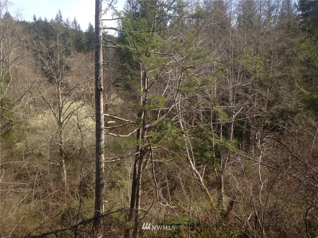 13601 Center Road Quilcene, WA 98376 - Photo 12 of 12