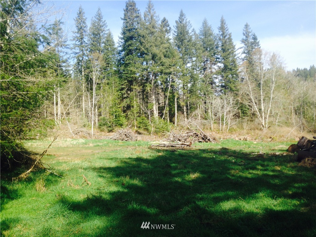 13601 Center Road Quilcene, WA 98376 - Photo 3 of 12