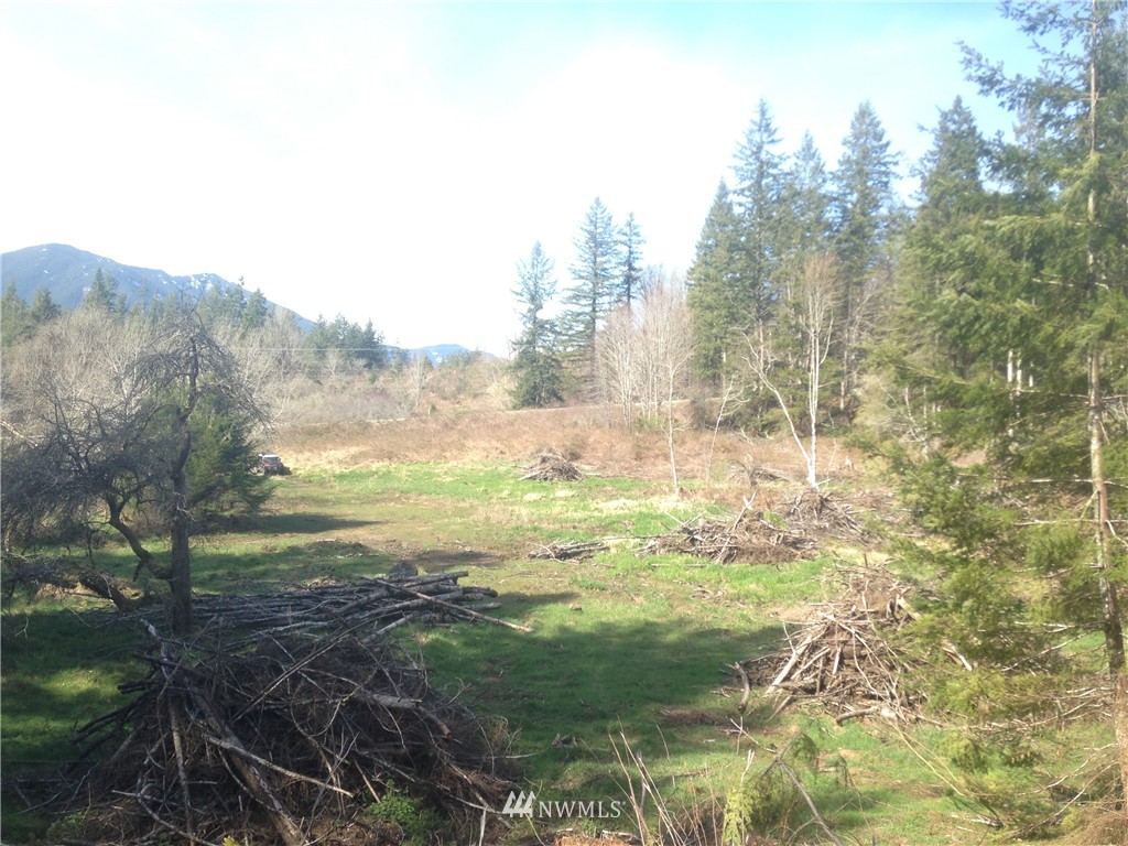 13601 Center Road Quilcene, WA 98376 - Photo 5 of 12