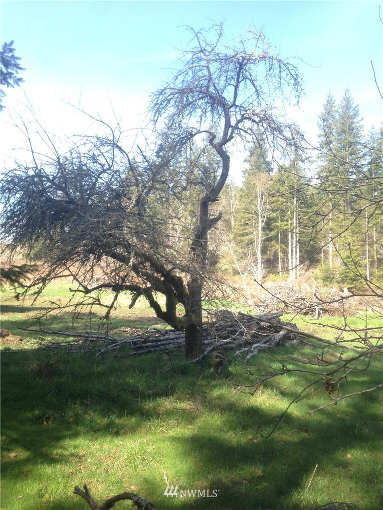 13601 Center Road Quilcene, WA 98376 - Photo 6 of 12