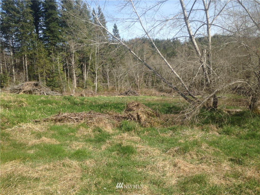 13601 Center Road Quilcene, WA 98376 - Photo 9 of 12