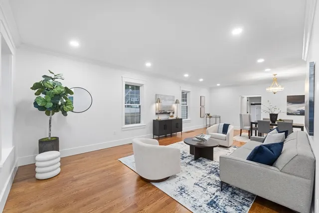 a living room with furniture potted plant and a lamp