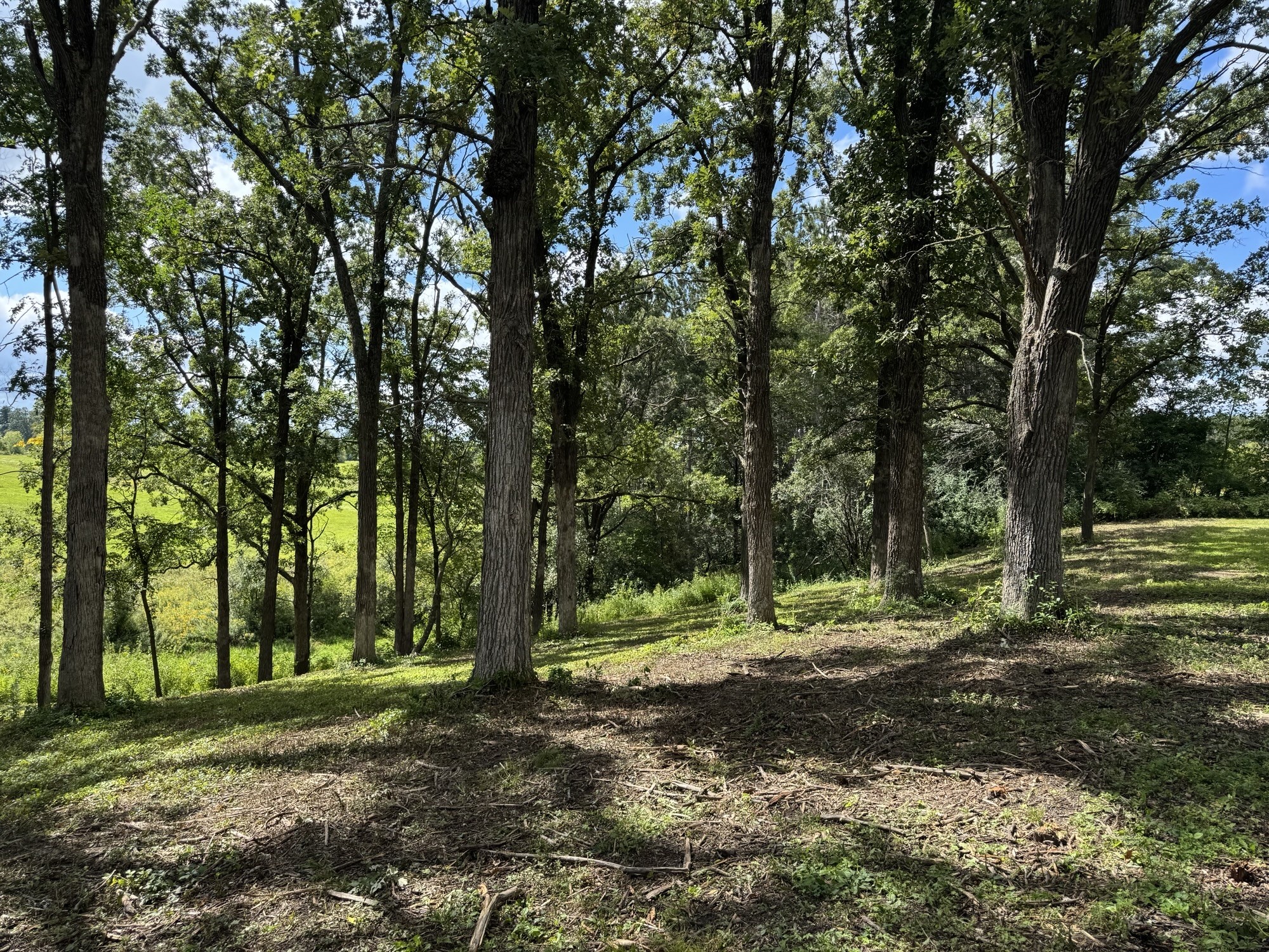 Lot 28 21st Street Rice Lake, WI 54868 - Photo 12 of 40