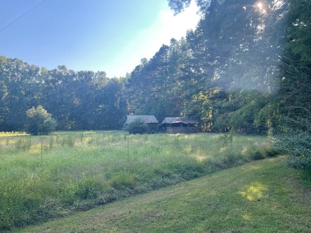 9945 Tracy Road Atoka, TN 38004 - Photo 11 of 19 a view of a yard
