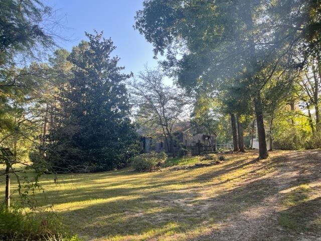 9945 Tracy Road Atoka, TN 38004 - Photo 16 of 19 a view of a yard with large trees