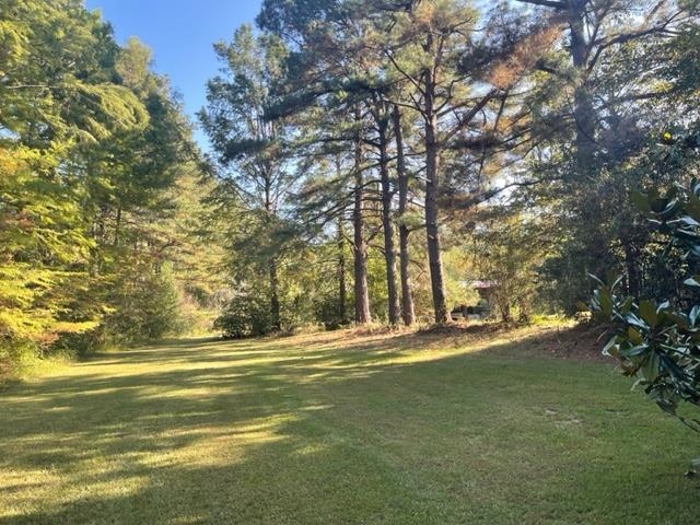 9945 Tracy Road Atoka, TN 38004 - Photo 8 of 19 a view of outdoor space with deck and green space