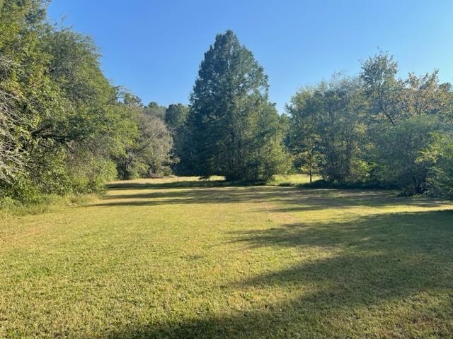 9945 Tracy Road Atoka, TN 38004 - Photo 9 of 19 a view of yard and mountain view