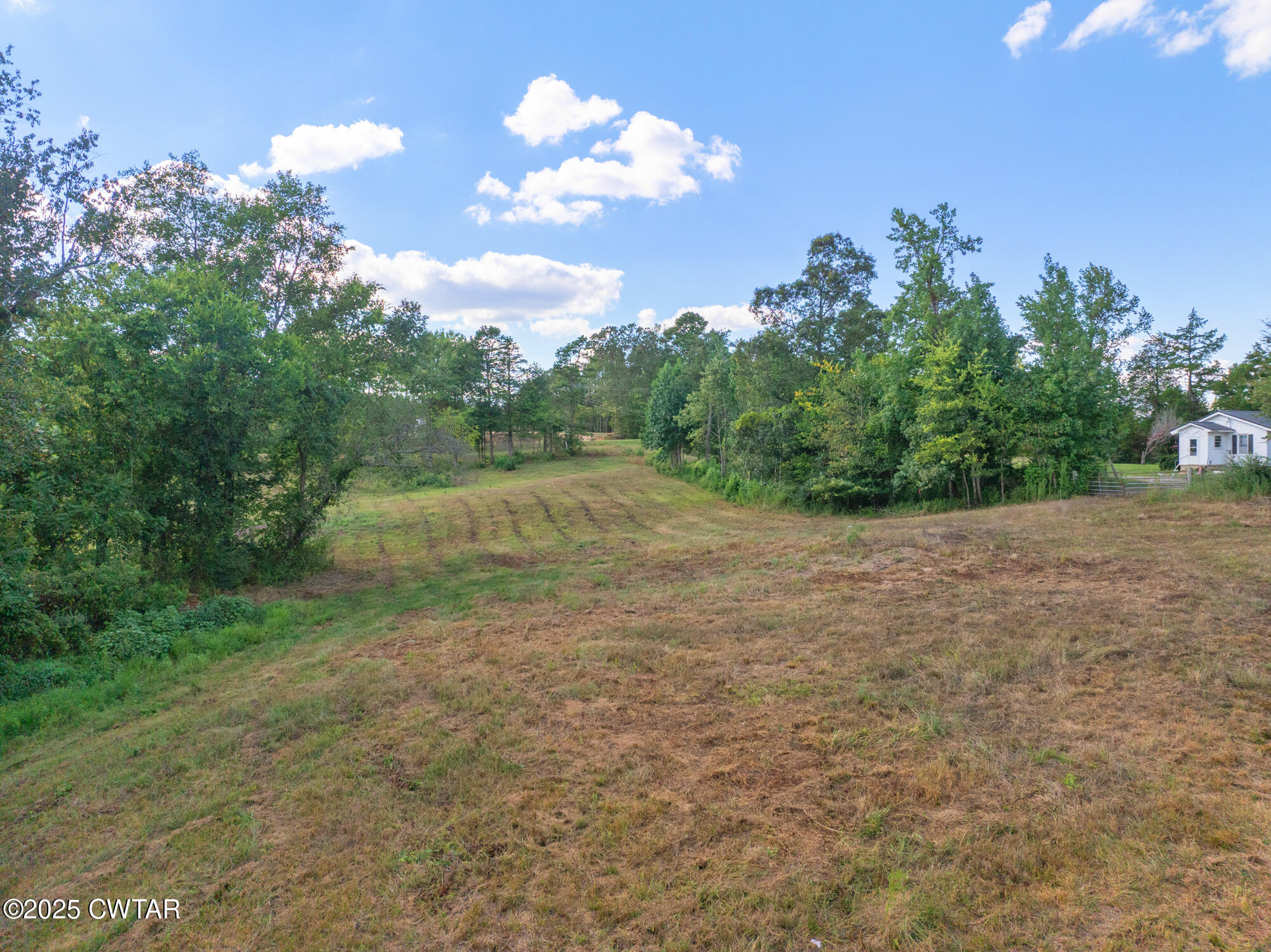 7371 Brooksie Thompson Road Bath Springs, TN 38311 - Photo 24 of 25 a view of a big yard with potted plants and large tree