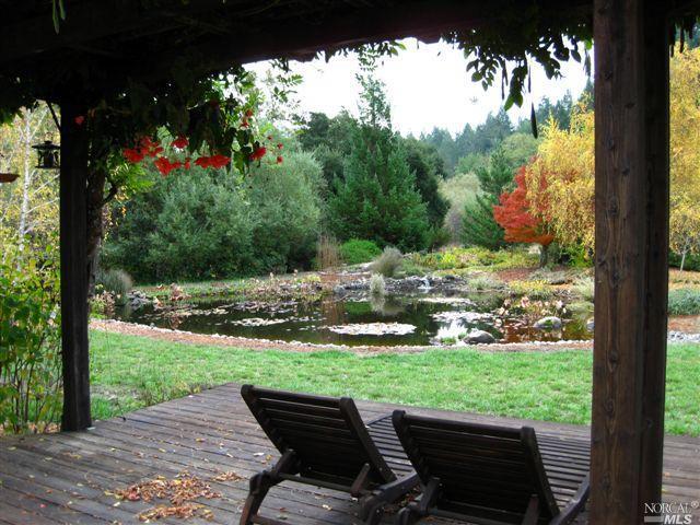 11571 Green Valley Road Sebastopol, CA 95472 - Photo 1 of 1 a view of a patio with chairs and a yard