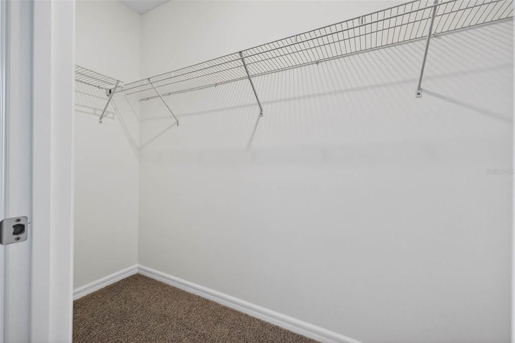 31264 Paper Birch Street Wesley Chapel, FL 33545 - Photo 20 of 32 a view of a room