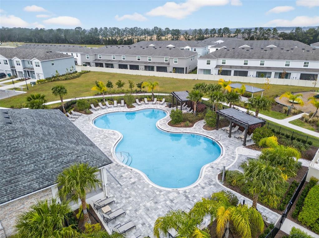 31264 Paper Birch Street Wesley Chapel, FL 33545 - Photo 28 of 32 an aerial view of a house with a swimming pool
