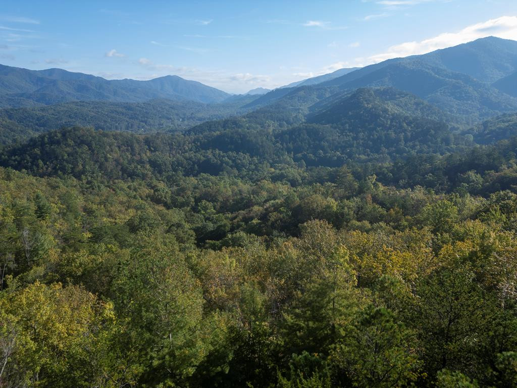 1316 Junaluska Road Andrews, NC 28901 - Photo 65 of 68 Drone Shot