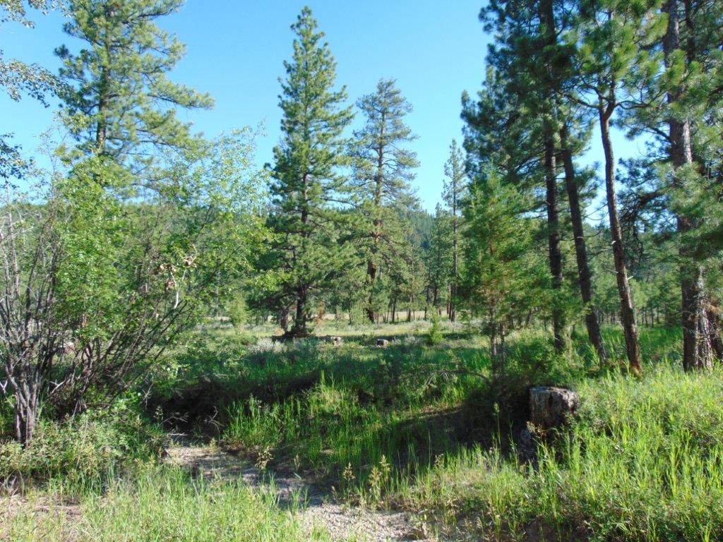 4615 Abe Lincoln Road Lincoln, MT 59639 - Photo 44 of 92 Gallery Image 44