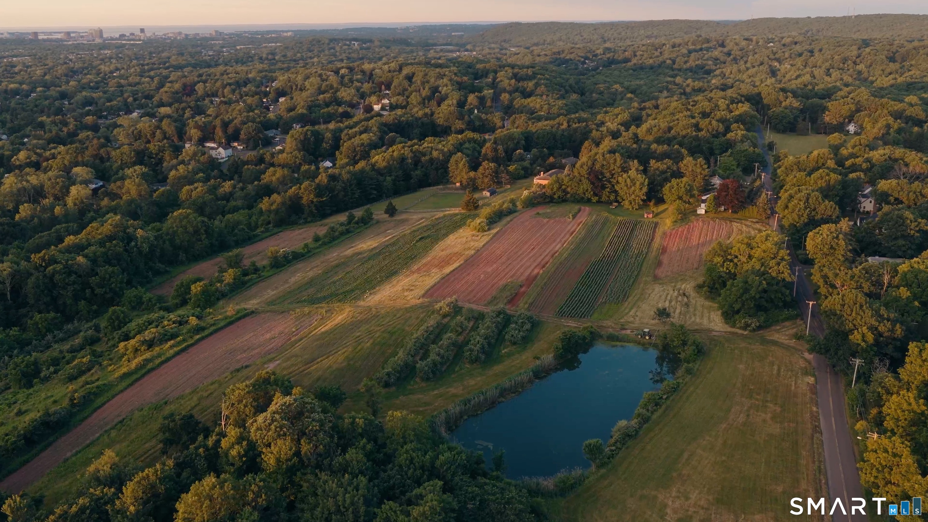810 Dunbar Hill Road Hamden, CT 06514 - Photo 39 of 40