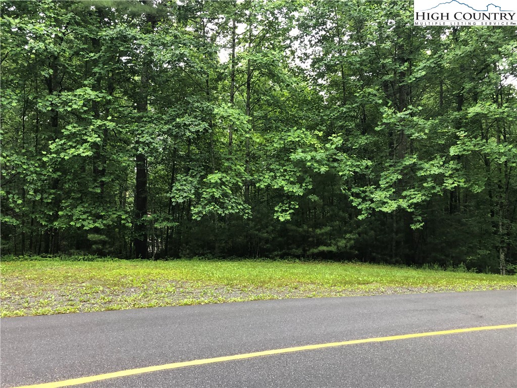 Lot 53 Staghorn Road Purlear, NC 28665 - Photo 4 of 31 a view of a yard