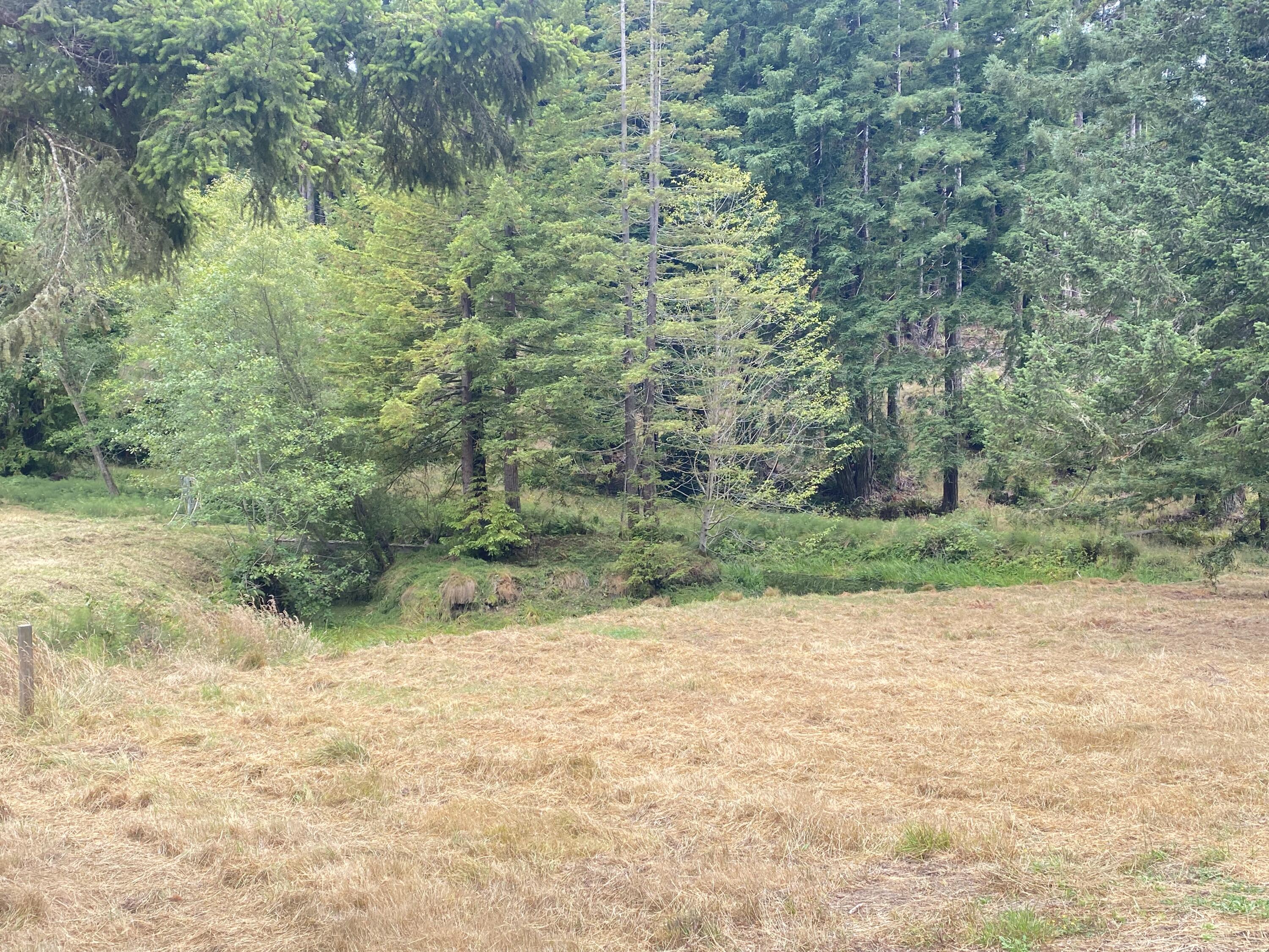 4 Pomeroy Hollow Road Freshwater, CA 95503 - Photo 8 of 13