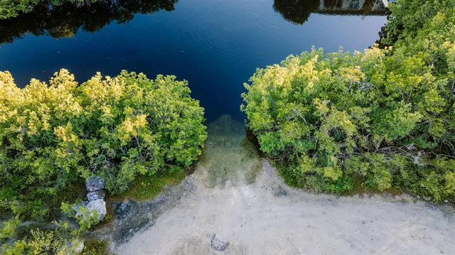 a view of backyard with green space