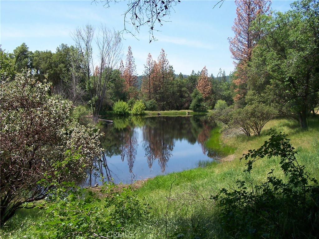 28 Rusty Lane Oakhurst, CA 93644 - Photo 4 of 5