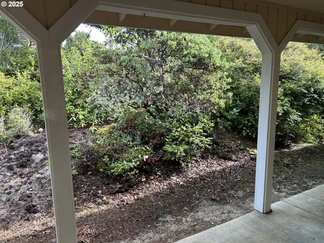 a view of a forest from a window