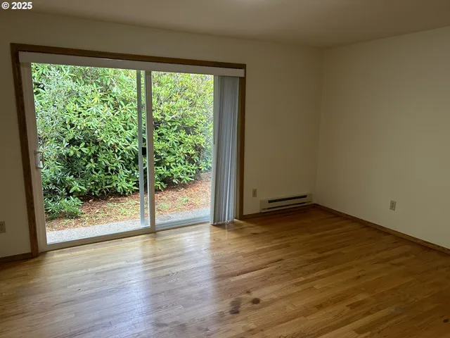 a view of a yard with a plant