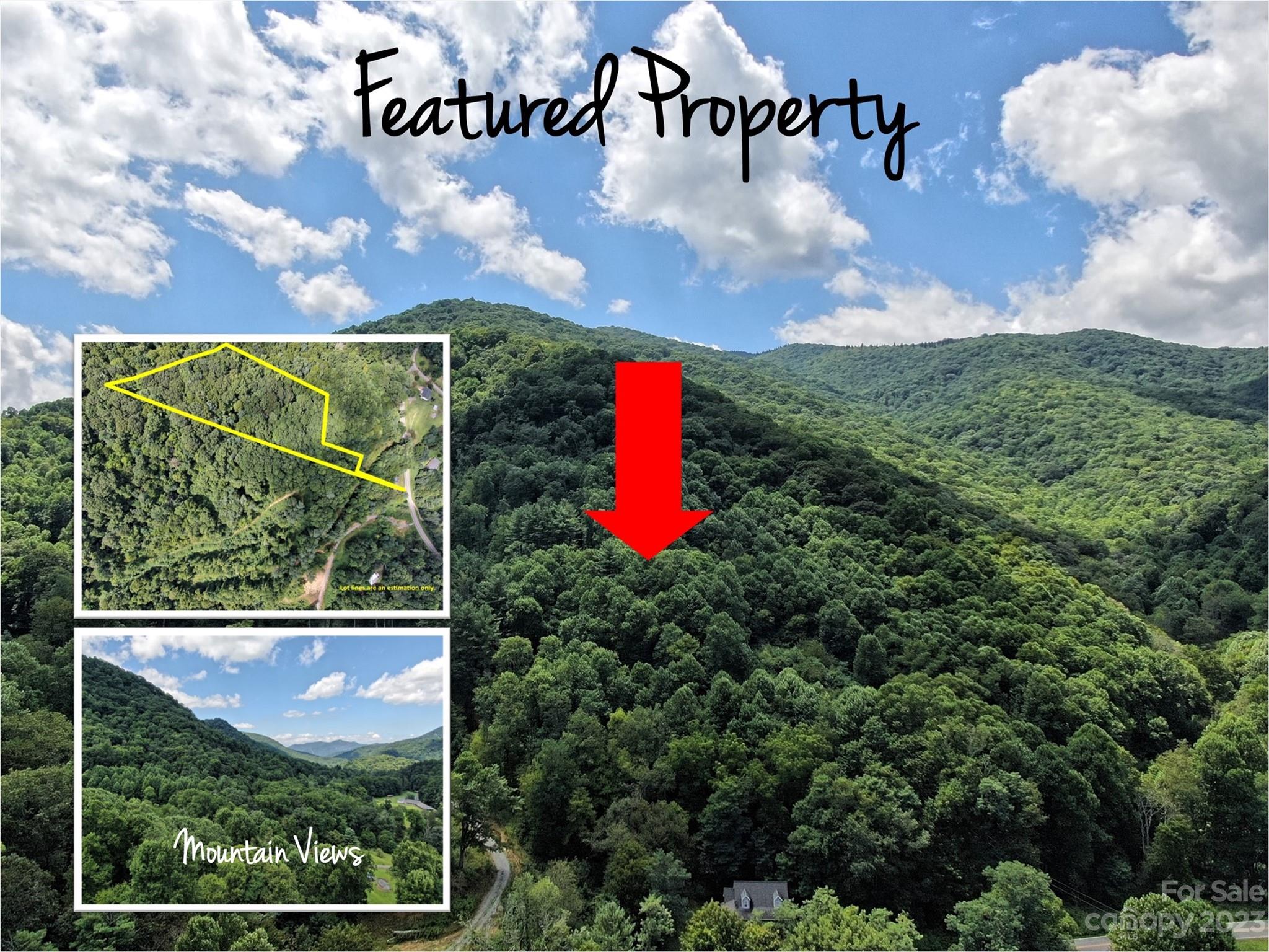 Land Off Cruso Road Canton, NC 28716 - Photo 1 of 10 Gallery Image 1