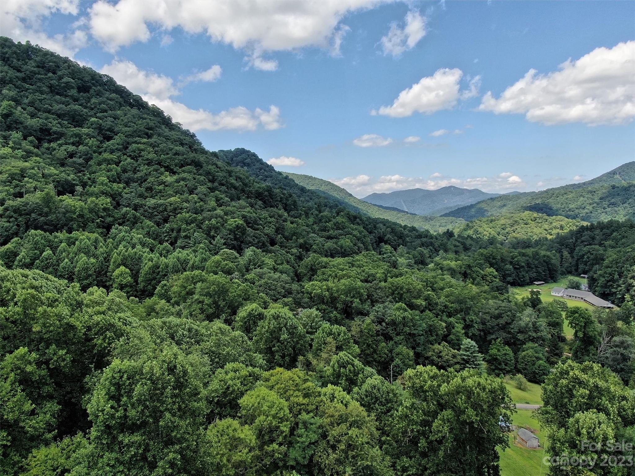 Land Off Cruso Road Canton, NC 28716 - Photo 2 of 10 Gallery Image 2
