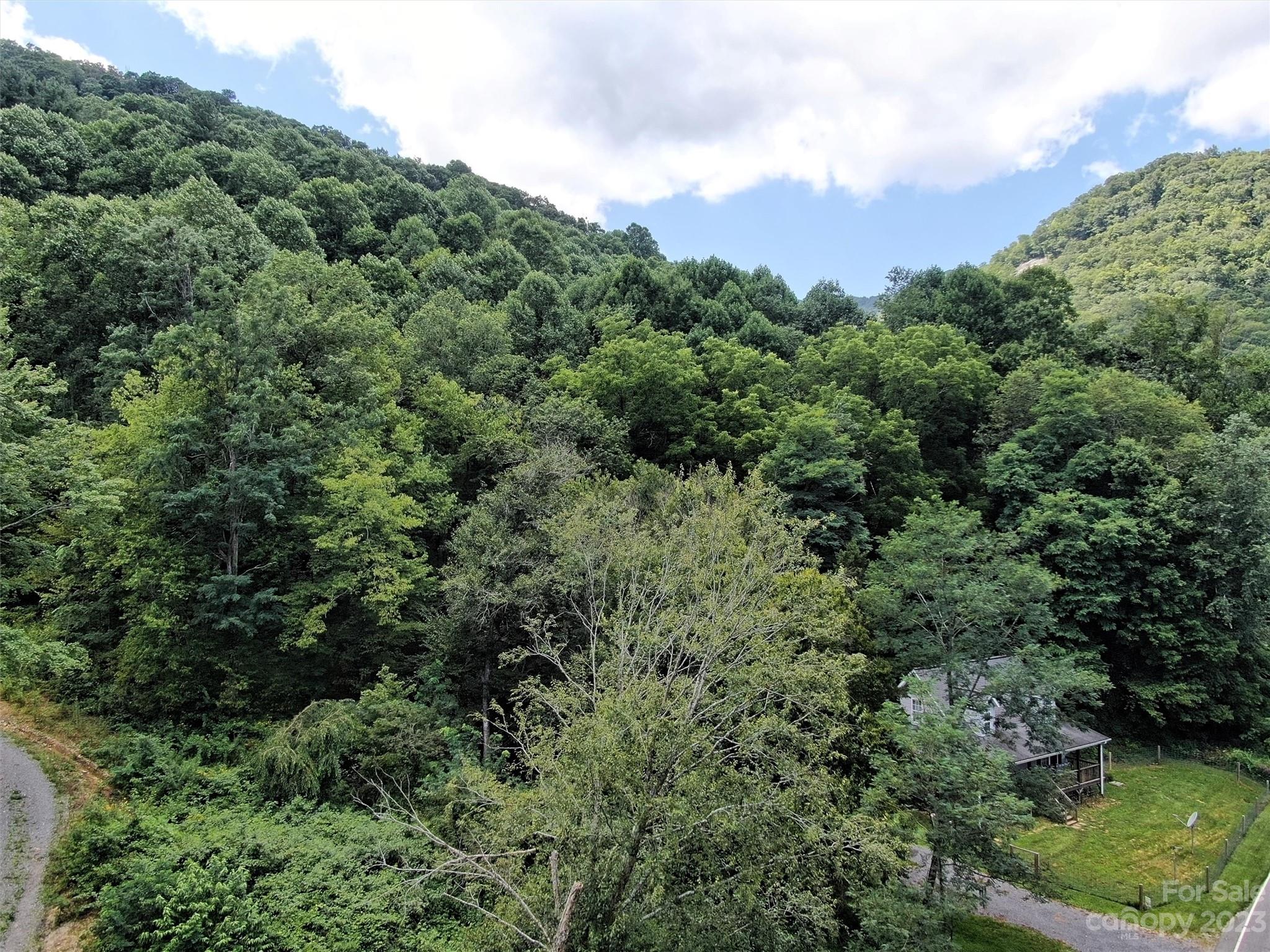 Land Off Cruso Road Canton, NC 28716 - Photo 4 of 10 Gallery Image 4
