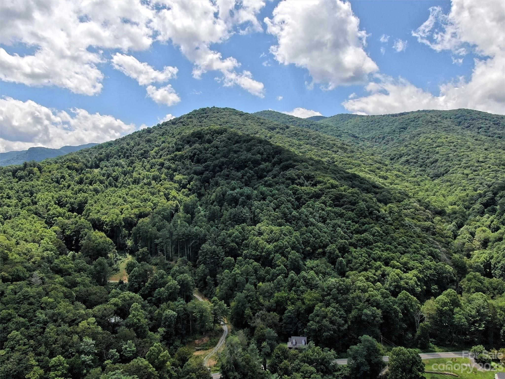 Land Off Cruso Road Canton, NC 28716 - Photo 5 of 10 Gallery Image 5