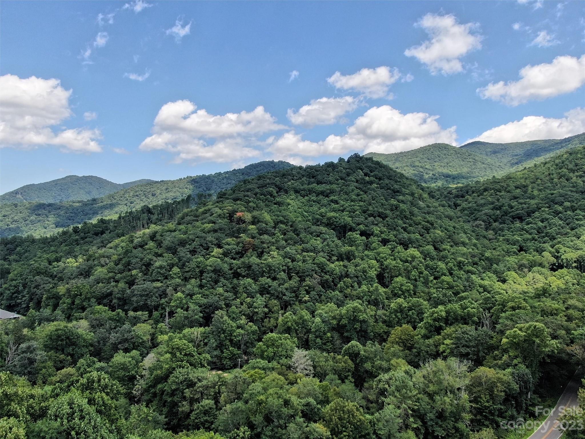 Land Off Cruso Road Canton, NC 28716 - Photo 6 of 10 Gallery Image 6
