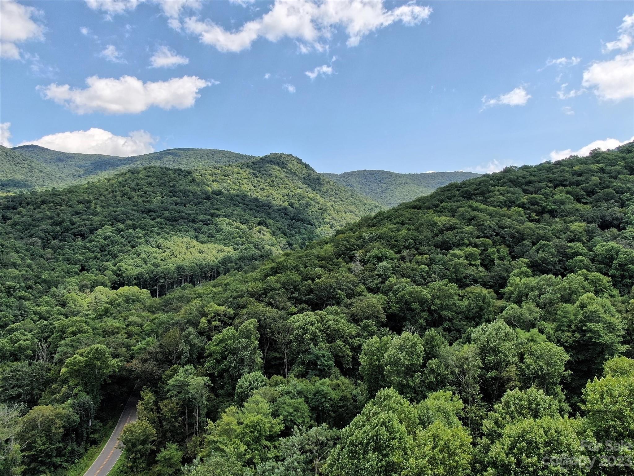 Land Off Cruso Road Canton, NC 28716 - Photo 7 of 10 Gallery Image 7