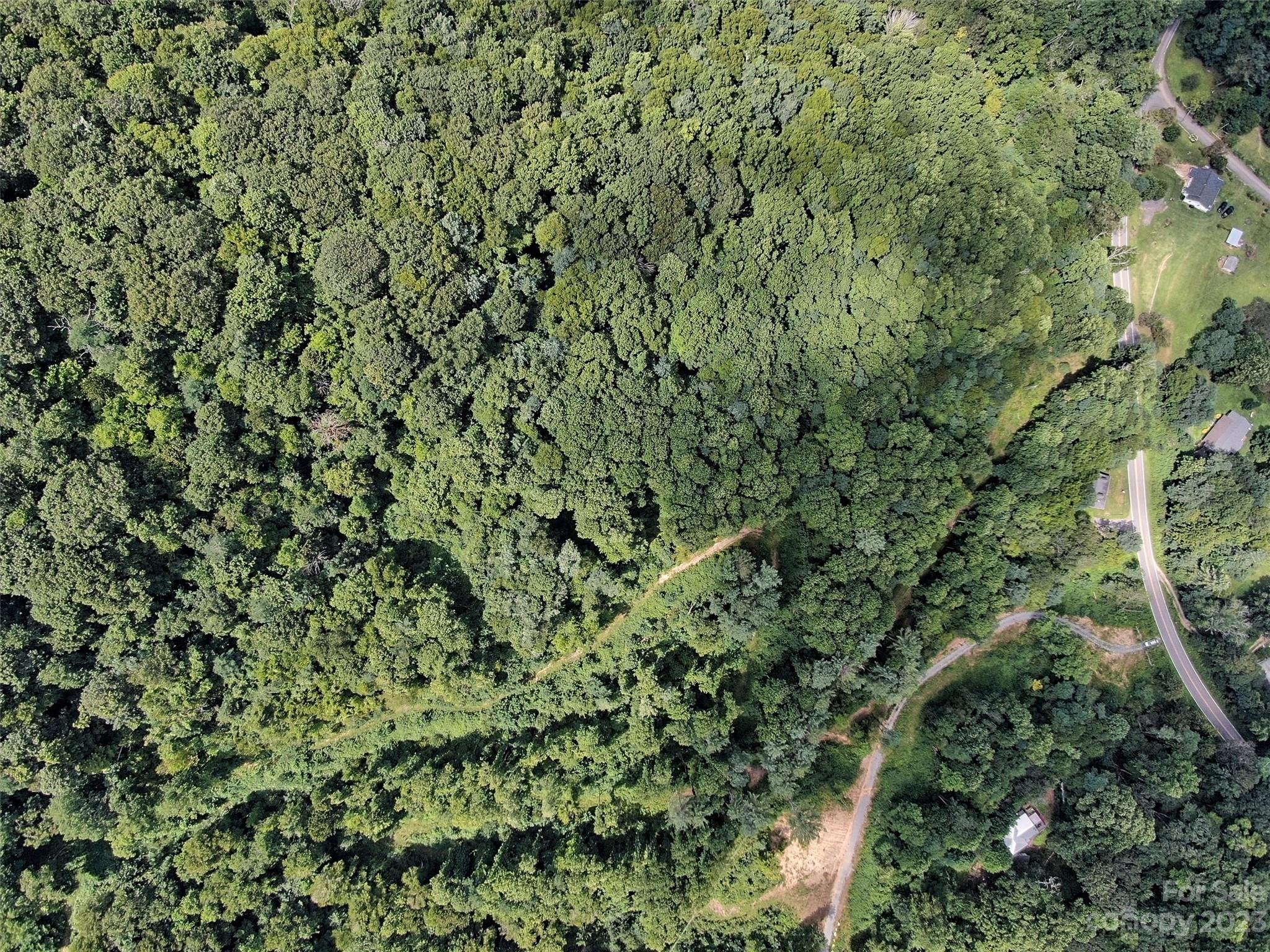 Land Off Cruso Road Canton, NC 28716 - Photo 8 of 10 Gallery Image 8