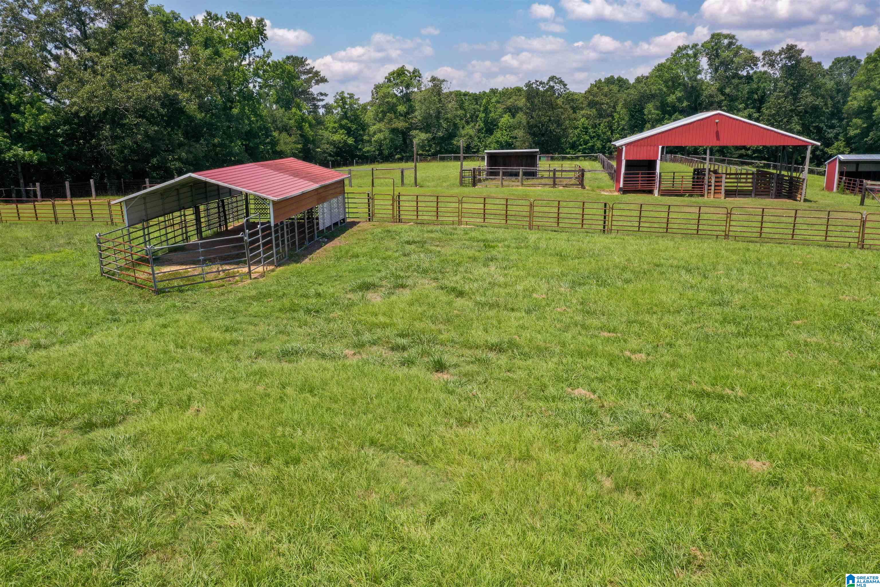 650 County Highway 13 Cleveland, AL 35049 - Photo 19 of 41