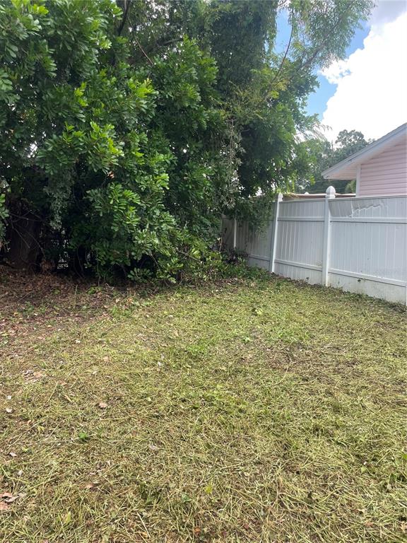 2445 Webber Street Sarasota, FL 34239 - Photo 12 of 16 a view of a backyard