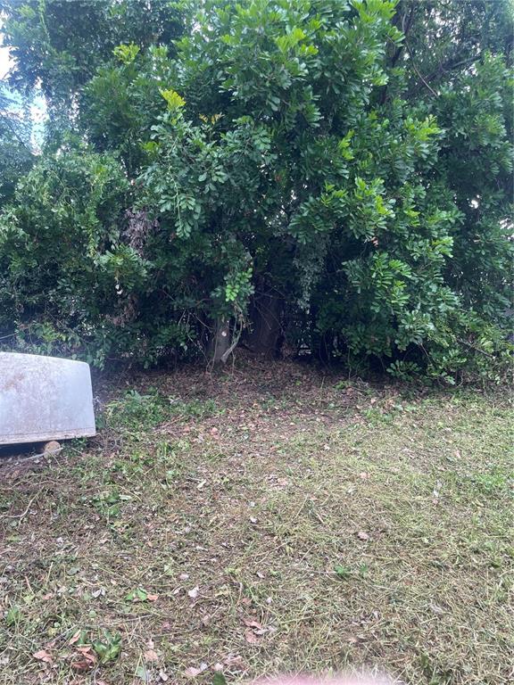 2445 Webber Street Sarasota, FL 34239 - Photo 13 of 16 a view of a yard