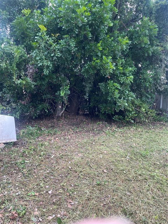 2445 Webber Street Sarasota, FL 34239 - Photo 14 of 16 a view of an outdoor space and a yard