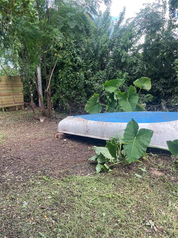2445 Webber Street Sarasota, FL 34239 - Photo 15 of 16 a view of a backyard with plants and a large tree