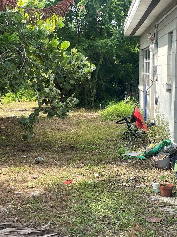 2445 Webber Street Sarasota, FL 34239 - Photo 6 of 16 a backyard of a house with lots of green space