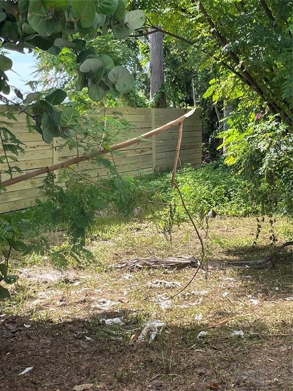 2445 Webber Street Sarasota, FL 34239 - Photo 7 of 16 a view of a yard with a tree