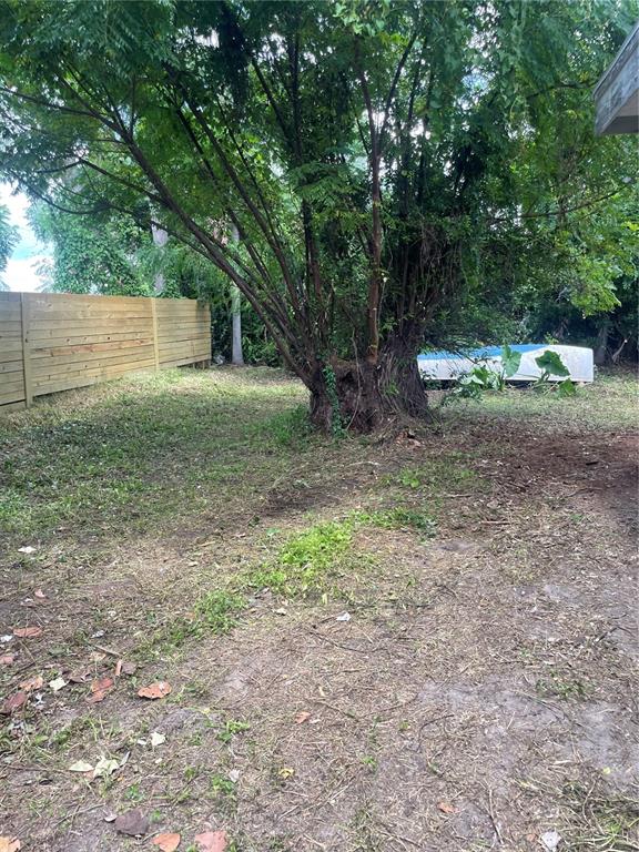 2445 Webber Street Sarasota, FL 34239 - Photo 10 of 16 a view of a yard with a tree