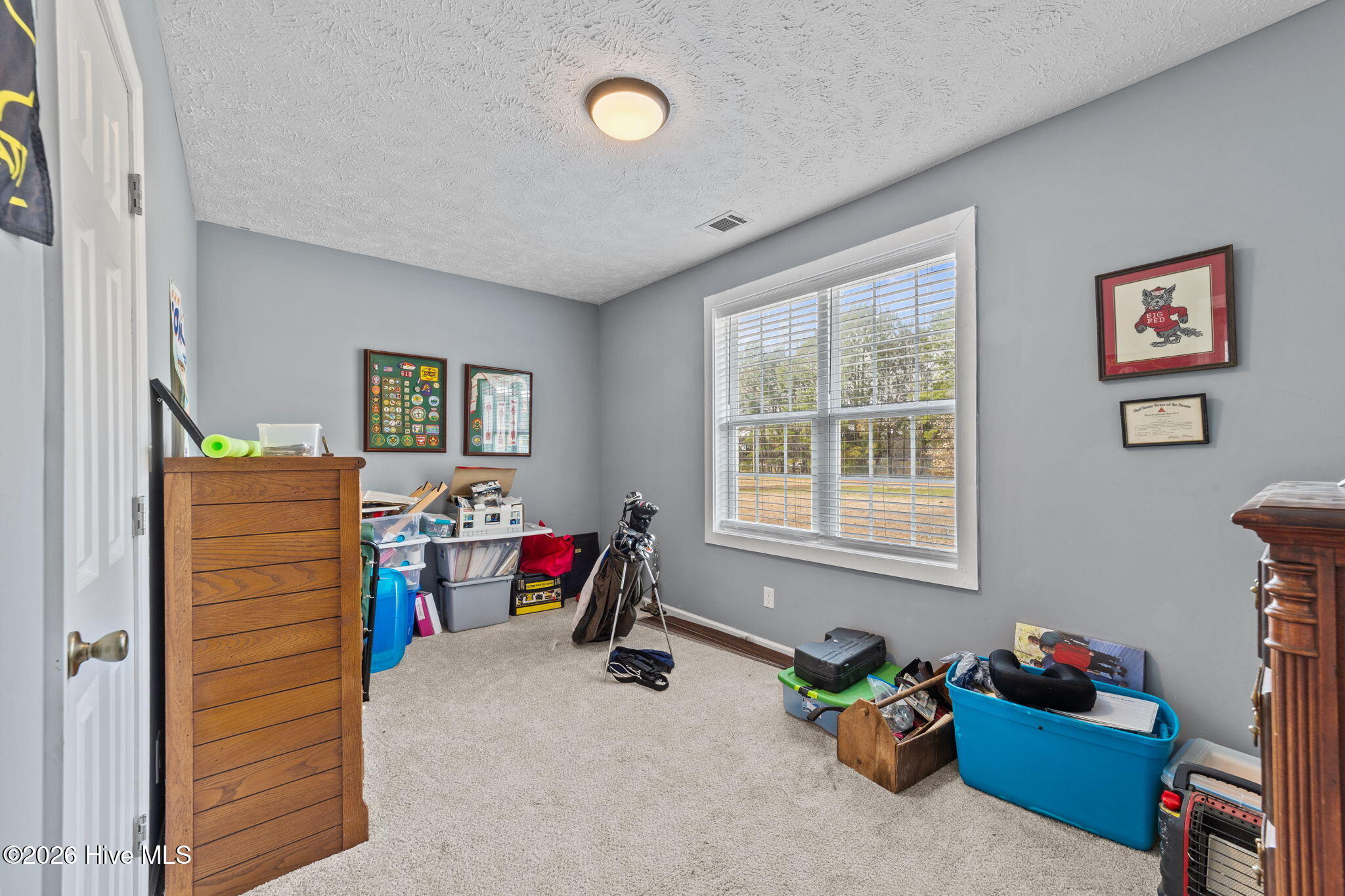 21 Spring Lane Whiteville, NC 28472 - Photo 15 of 28 15-web-or-mls-CZ9A9955