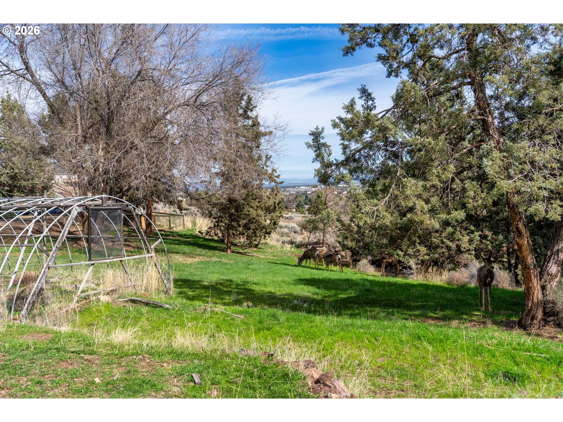 3244 Southwest 34th Street Redmond, OR 97756 - Photo 35 of 42 Backyard
