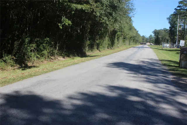 a view of a park with large trees