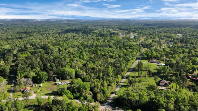 a view of a city with lush green forest