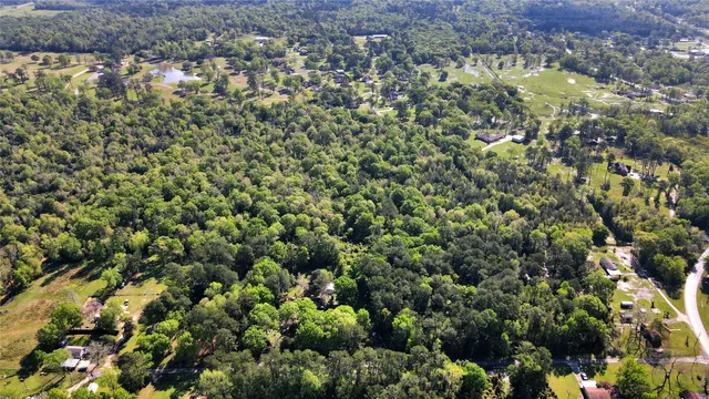 a view of a city with lush green forest