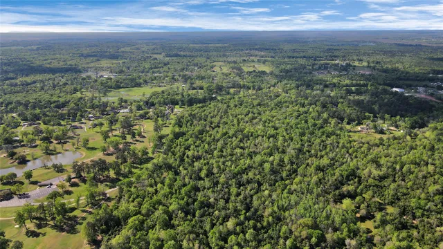 a view of a field with an ocean