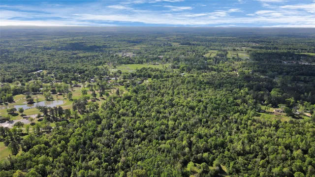 view of city and green space