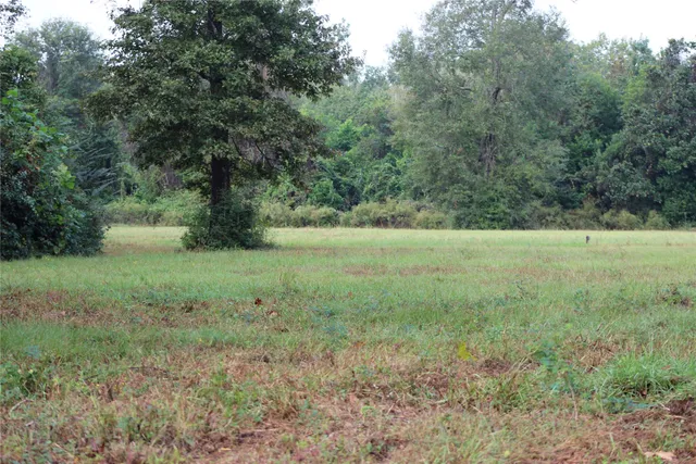 a view of a swimming pool with a table and chairs under an umbrella
